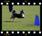 Obedience in Heppenheim