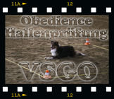 Hallenprüfung am 16.02.14