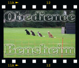 OBI Prüfung in Bensheim